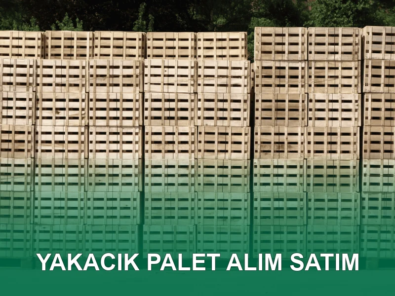 Yakacık Palet Galeri 3